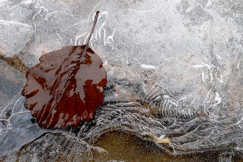 青岛北九水现冰瀑奇观 冰清玉洁似世外仙境