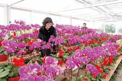青岛今年办年货多掏3成钱 菜肉海鲜水果市场白热化