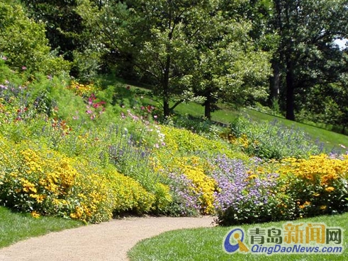 改造后的青岛夹岭山