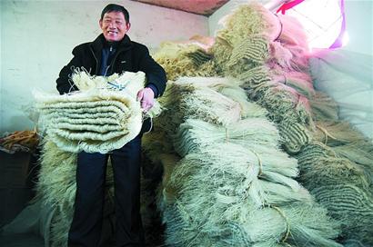 青岛百年粉条村招来粉丝团