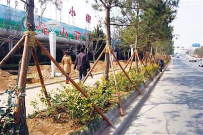 青岛东海路沿线扩建15个港湾式车站