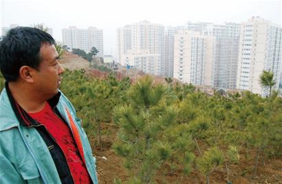 夹岭山全面绿化变身休闲公园