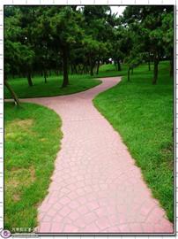 青岛无敌海景不建房子建公园