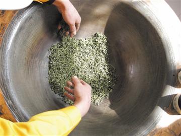 揭秘青岛崂山茶价格链条