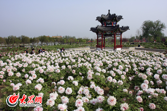 点击浏览下一张