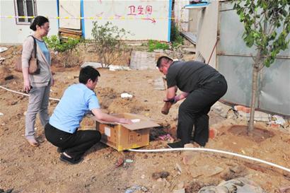 掘地三尺以为挖到古董 露真身原是炮弹 掘地三尺以为挖到古董 露真身原是炮弹