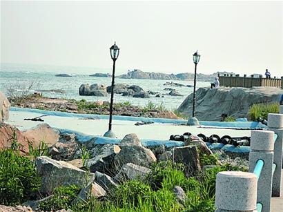 红礁石强拆首日静悄悄 相关部门未有行动