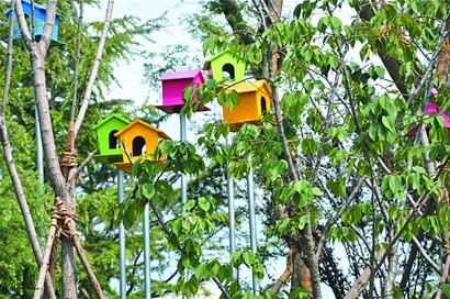 李村河上游美景重现 李村河上游美景重现