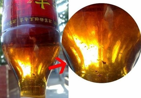 瓶中的黑色絮状腐败物清晰可见