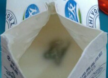酸奶盒装内发现疑似的“发霉”物体