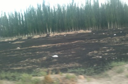 联邦制药被指污染土壤