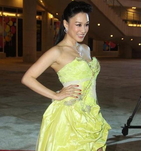 上海电影节波霸女星爆乳排行 李小冉爆冷完胜(组图)