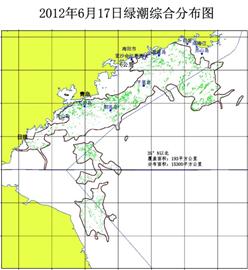 青岛8船巡海深入浒穴探绿潮