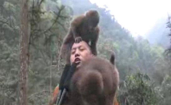 法师被猴子戏弄