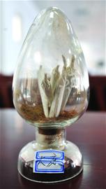 8大常见毒品亮真容 