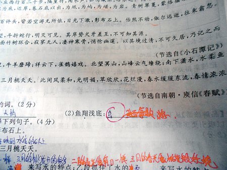 这是6月18日，网友“啃梨掉颗牙”发在网上的试卷照片。