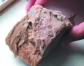 短命面包放一天就长毛