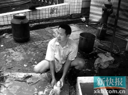 杀鸡档档主梁先生