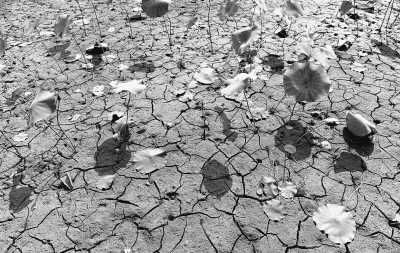 黄淮大部现旱情 黄淮大部现旱情