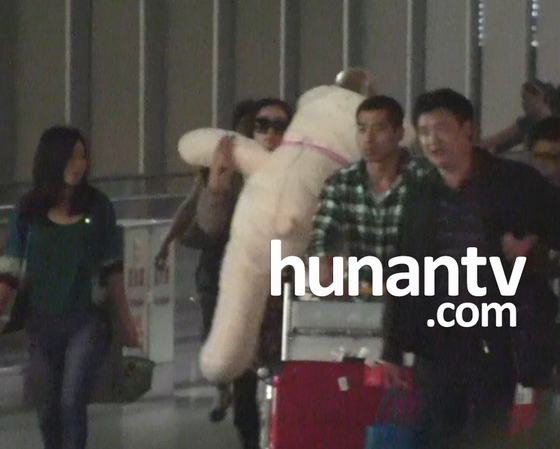 杨幂机场抱大玩具熊不放手