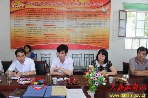 县委书记慰问贫困老党员照片现天价烟