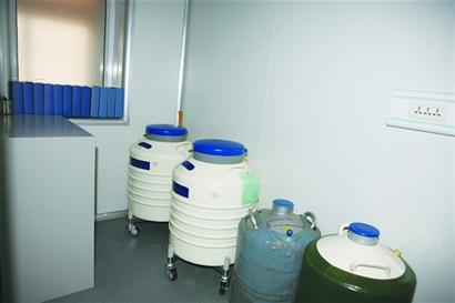 青岛每年诞生千名试管婴儿 数千备胎被父母遗弃