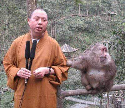 热爱绳命过后禅师体走红 伪学术青年纷纷模仿