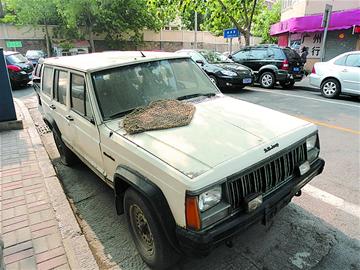 青岛常见霸道报废车被批环境流氓 一身灰尘一占两年