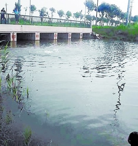 青岛16岁男孩水塘溺亡 堂哥无意间拍整个过程