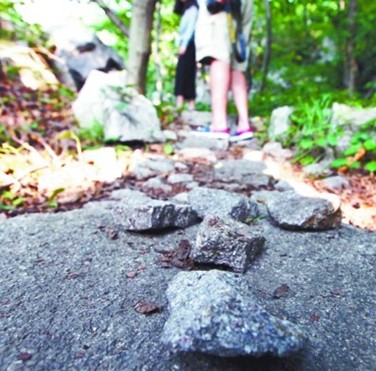 青岛夫妻爬山掉队被困密林 绝望连吞10粒救心丸 青岛夫妻爬山掉队被困密林 绝望连吞10粒救心丸