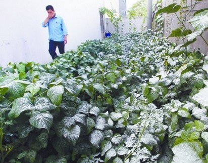 亨斯迈染料厂大罐泄漏 气味刺鼻致喉咙难受