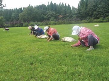 青岛大多企业不发高温补贴