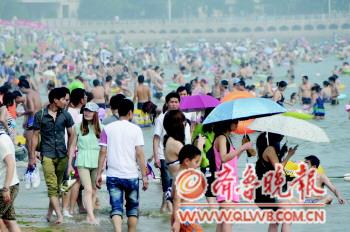 周末大暑气温28℃ 青岛浴场煮饺子碗口大海蜇逼不走游客