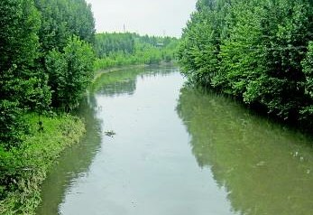 蓝星石油漏油流入小清河 出现死鱼气味刺鼻