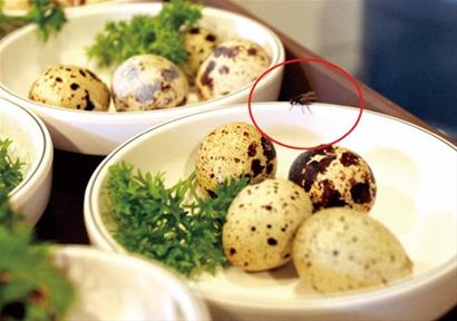 青岛大公岛酒店上菜前脏抹布擦盘子 辣椒长毛酱过期