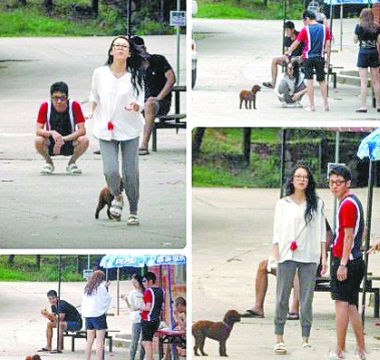 撒贝宁9999朵玫瑰求婚成功 章子怡允诺婚期将近