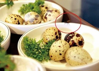 大公岛酒店辣椒长毛酱过期 上菜脏抹布擦盘子