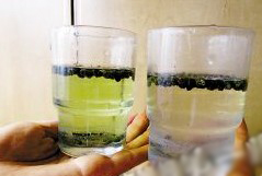 贪便宜买染色花椒一泡水变绿 吃了或致癌