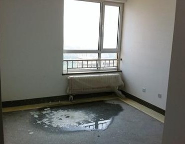 伟东幸福之城新房漏水长绿毛 没验先收物业费