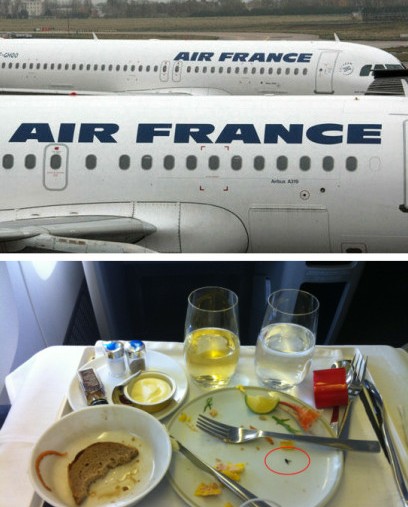 法航飞机餐现苍蝇 机长回复中国苍蝇多很正常