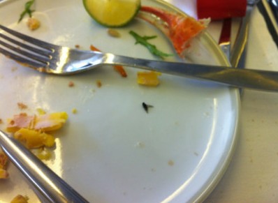 法航飞机餐现苍蝇 机长回复中国苍蝇多很正常