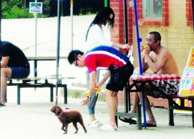 撒贝宁邀章子怡上央视