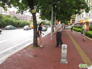 兄妹吵架哥哥当街将其捆到树上 五花大绑似SM