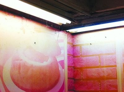 爱卫办检查除四害 饭店厨师称鼠粪为黑玄米