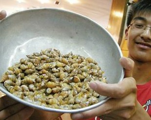 有毒织纹螺连累青岛海瓜子 市区酒店已停售