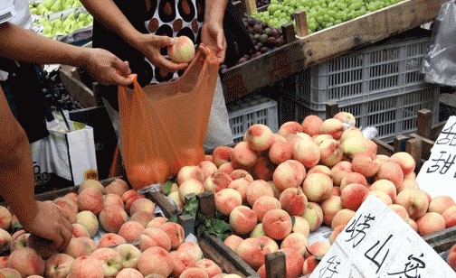 青岛市面崂山桃8成是冒牌 每斤差价达2元