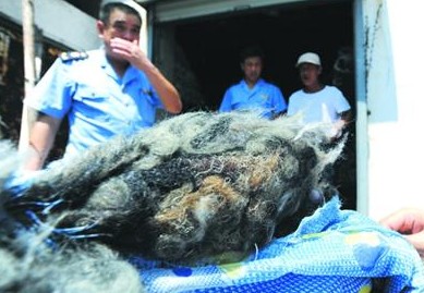 新棉被盖一夜全身奇痒爆皮 严重或致哮喘