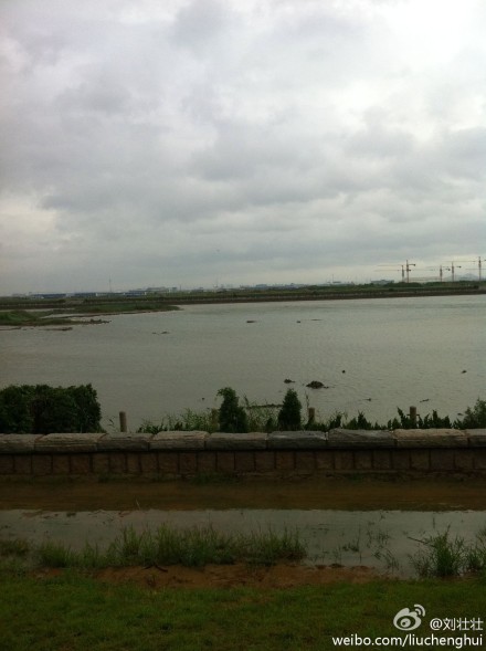 网友实拍台风达维影响下的青岛