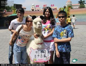 白富美开豪车带草泥马逛街被围观 奥运金牌躺枪