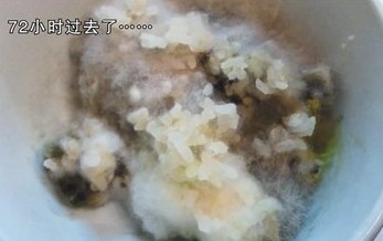 空调散热片藏匿大量细菌 米饭吹三天发霉